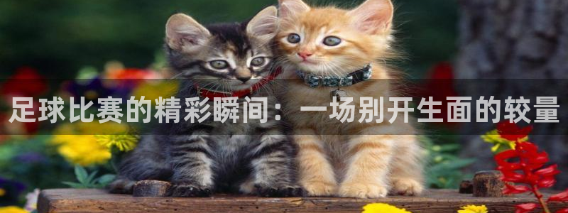 vsport体育平台：足球比赛的精彩瞬间：一场别开生面的较量