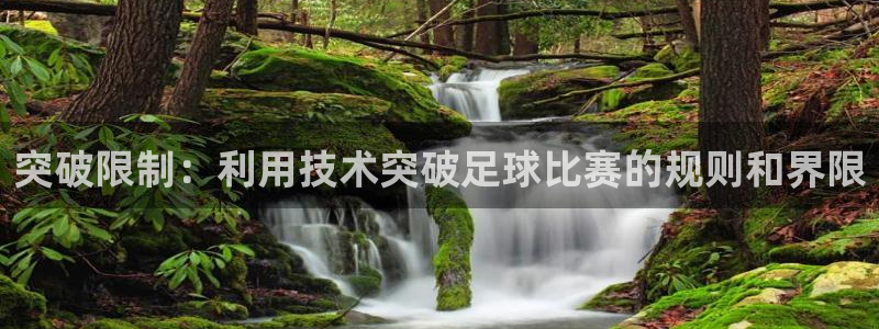 vsport体育平台app下载安装免费：突破限制：利用技术突