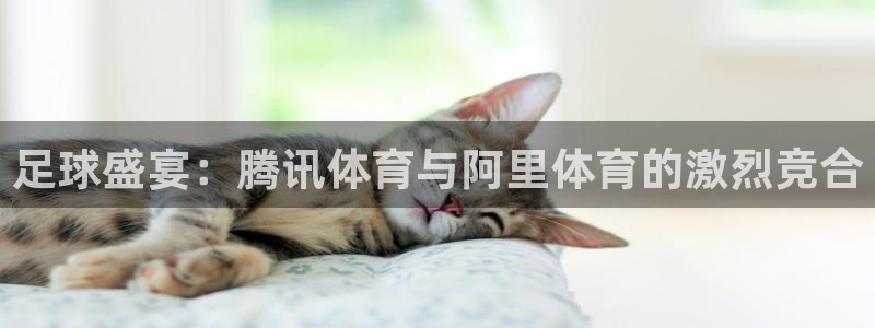 vsport体育平台app：足球盛宴：腾讯体育与阿里体育的激