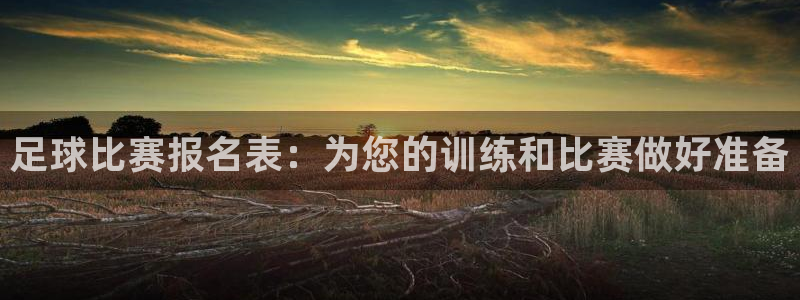 vSport体育在线登录平台：足球比赛报名表：为您的训练和比