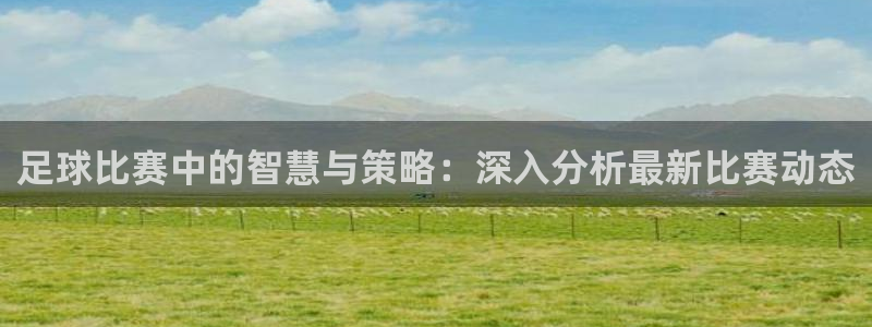 vsport体育在线官网阿根廷：足球比赛中的智慧与策略：深入