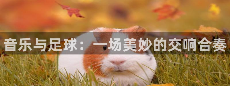  Vsport体育官网：音乐与足球：一场美妙的交响合奏