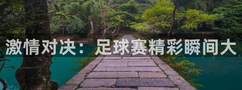 vsport体育在线官网：激情对决：足球赛精彩瞬间大
